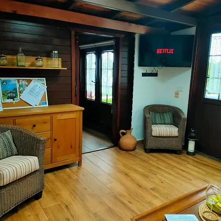 Vinedos Verdes La Guancha