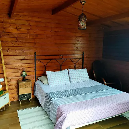 Vinedos Verdes La Guancha